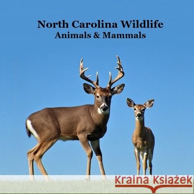 North Carolina Animals and Mammals Kids Wildlife Book: Great Wildlife Book about Animals and Mammals in North Carolina Kinsey Marie Billy Grinslott 9781968228439 Billy Grinslott - książka
