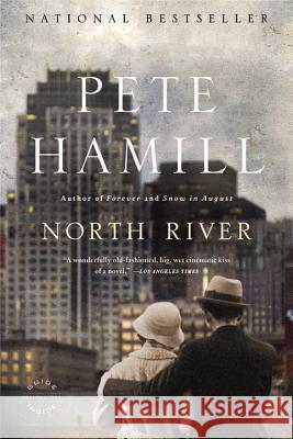 North River Pete Hamill 9780316007993 Back Bay Books - książka