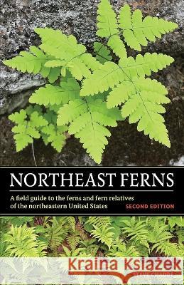 Northeast Ferns Steve W. Chadde 9781951682712 Orchard Innovations - książka