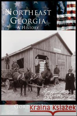 Northeast Georgia: A History Gordon Sawyer 9781589730854 Arcadia Publishing (SC) - książka