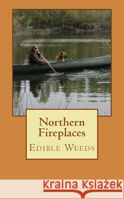 Northern Fireplaces Laura C. Diamond-C 9781515282488 Createspace - książka