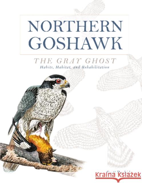 Northern Goshawk, the Gray Ghost: Habits, Habitat, and Rehabilitation Scott Rashid 9780764349904 Schiffer Publishing - książka