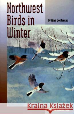 Northwest Birds in Winter Alan Contreras Ramiel Papish Alan Contreras 9780870714252 Oregon State University Press - książka