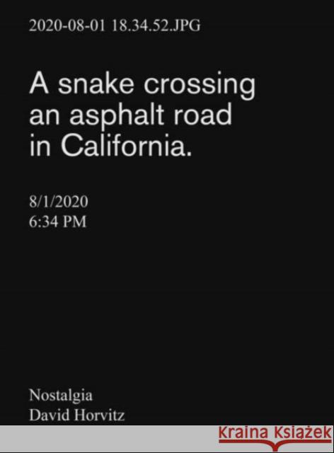Nostalgia David Horvitz 9783945900093 Edition Taube - książka