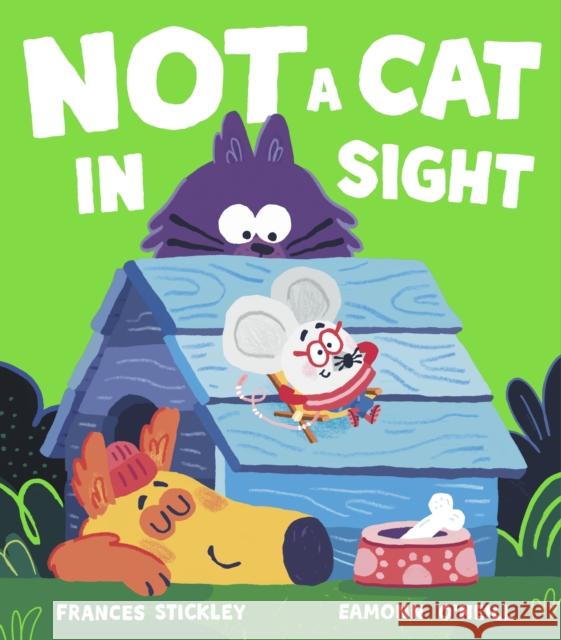 Not a Cat In Sight Frances Stickley 9781398508934 Simon & Schuster Ltd - książka