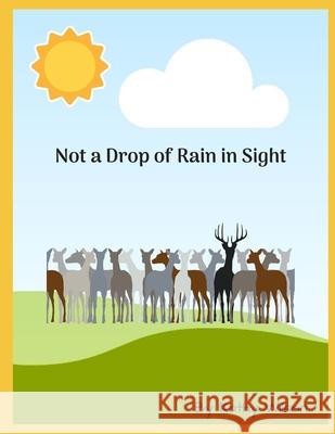 Not A Drop of Rain in Sight Kathy Wilson 9781717988409 Independently Published - książka