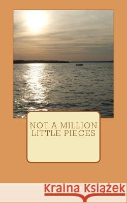 Not a million little pieces Hurd, William 9781466252172 Createspace - książka