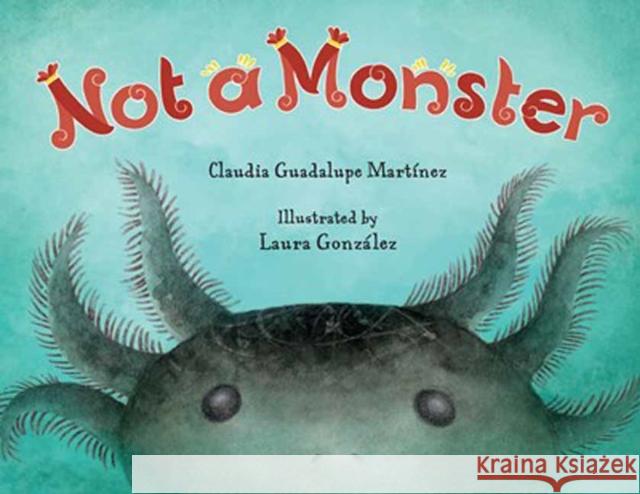 Not a Monster Laura Gonzalez 9781623545697 Charlesbridge Publishing - książka
