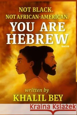 Not Black. Not African-American. You Are Hebrew!: The Age of Wisdom & The Universal Covenant Khalil Bey 9785467029726 Bepublished.Org - książka