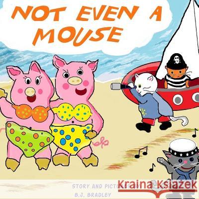 Not Even a Mouse B J Bradley 9780578099002 Winding Road Publishers - książka