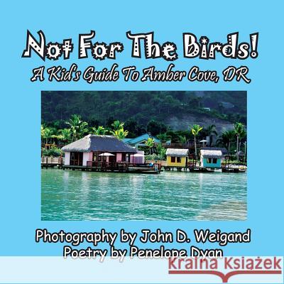 Not For The Birds! A Kid's Guide To Amber Cove, DR Penelope Dyan, Penelope Dyan 9781614773061 Bellissima Publishing - książka