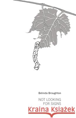 Not Looking For Signs Belinda Broughton 9781760418625 Ginninderra Press - książka