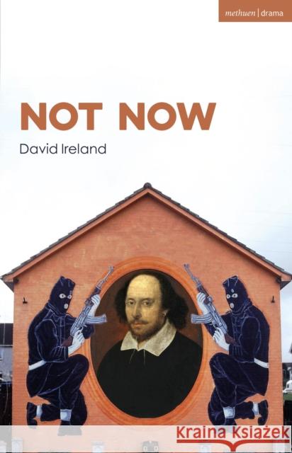Not Now David Ireland   9781350381520 Methuen Drama - książka