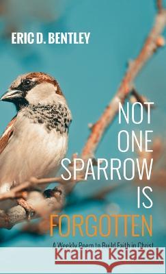 Not One Sparrow Is Forgotten Eric D. Bentley 9781666770636 Resource Publications (CA) - książka