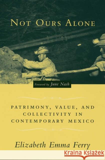 Not Ours Alone: Patrimony, Value, and Collectivity in Contemporary Mexico Ferry, Elizabeth Emma 9780231132398 Columbia University Press - książka