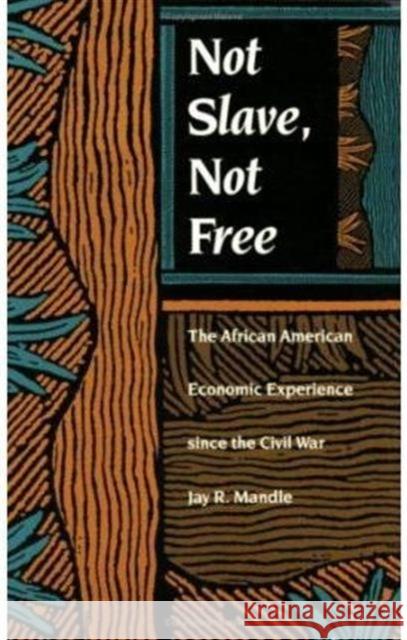 Not Slave, Not Free: The African American Economic Experience Since the Civil War Mandle, Jay R. 9780822312208  - książka