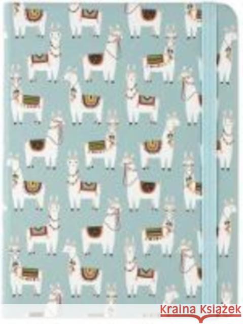 Notatnik midi Lamy Peter Pauper Press, Inc 9781441324894 Peter Pauper Press - książka