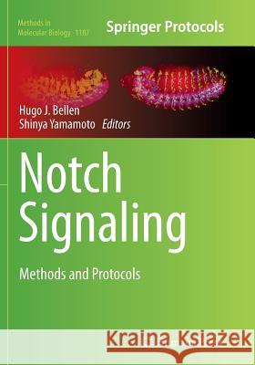 Notch Signaling: Methods and Protocols Bellen, Hugo J. 9781493955107 Humana Press - książka