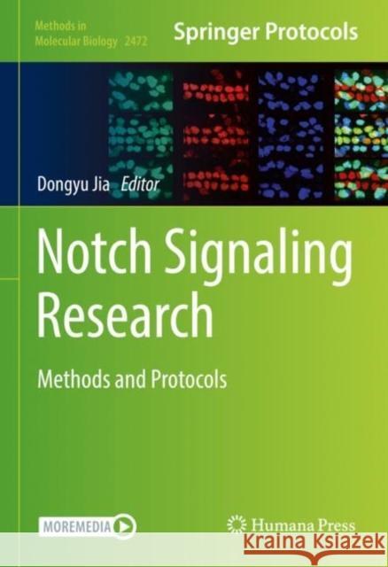 Notch Signaling Research: Methods and Protocols Jia, Dongyu 9781071622001 Springer US - książka