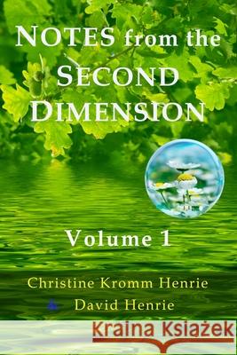 Notes from the Second Dimension: Volume 1 Christine Kromm Henrie David J. Henrie 9780998987064 Access Soul Knowledge, LLC - książka