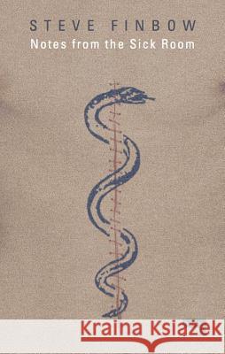 Notes from the Sick Room Steve Finbow 9781910924976 Repeater - książka