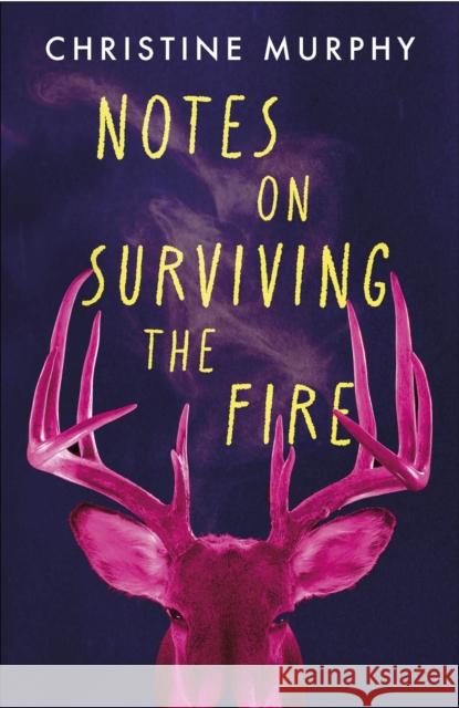 Notes on Surviving the Fire: A razor-sharp, darkly funny literary novel about male violence, a woman's vengeance, and whether killing can ever be justified Christine Murphy 9781035411399 Headline Publishing Group - książka