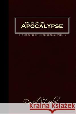 Notes on the Apocalypse David Steele 9780978098704 Landmark Project Press - książka