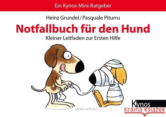 Notfallbuch für den Hund : Kleiner Leitfaden zur Ersten Hilfe Grundel, Heinz; Piturru, Pasquale 9783954640164 Kynos - książka