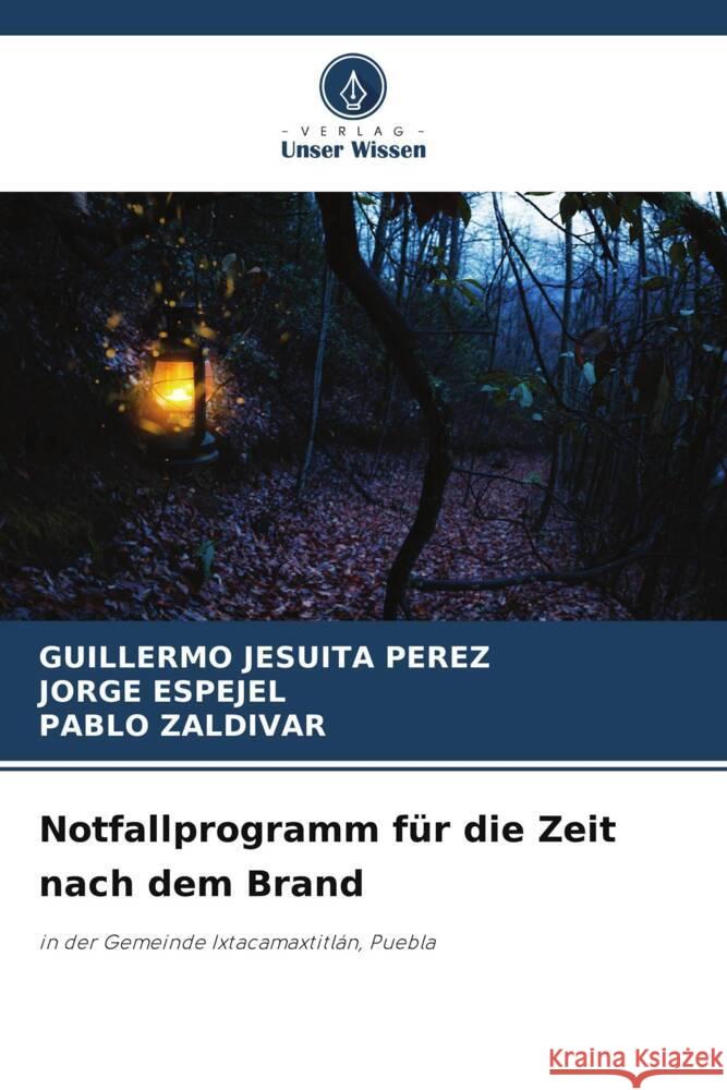 Notfallprogramm für die Zeit nach dem Brand Perez, Guillermo Jesuita, Espejel, Jorge, Zaldivar, Pablo 9786205133743 Verlag Unser Wissen - książka