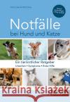 Notfälle bei Hund und Katze Löwe, Gisa & Olof 9783954642687 Kynos