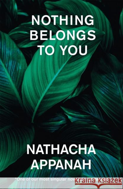 Nothing Belongs to You  9781529422832 Quercus Publishing - książka