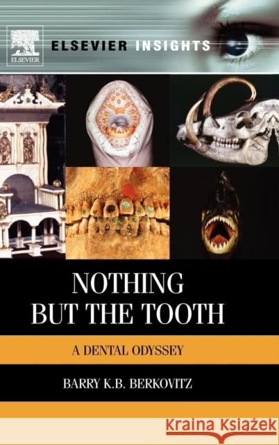 Nothing But the Tooth: A Dental Odyssey Barry Berkovitz 9780123971906  - książka