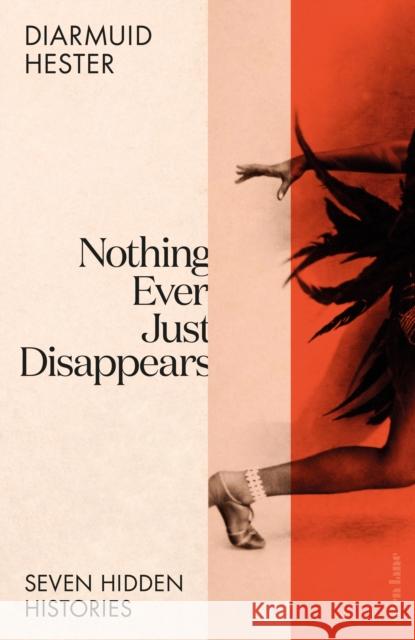 Nothing Ever Just Disappears: Seven Hidden Histories Diarmuid Hester 9780241528457 Penguin Books Ltd - książka