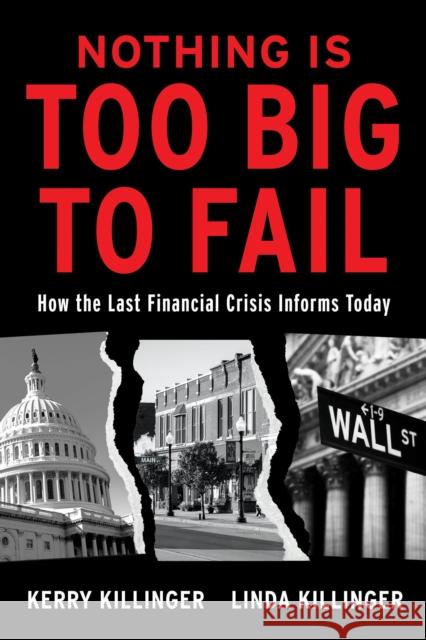 Nothing is Too Big to Fail: How the Last Financial Crisis Informs Today Linda Killinger 9781948122764 Rosetta Books - książka