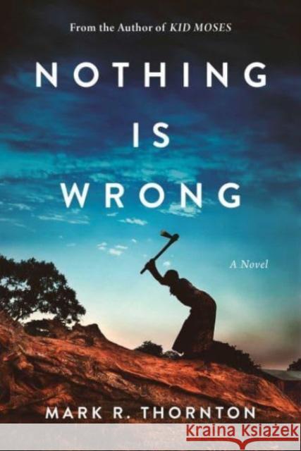 Nothing Is Wrong: A Novel Mark R. Thornton 9781648210181 Arcade - książka