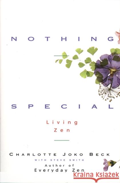 Nothing Special Steve Smith 9780062511171 HarperOne - książka