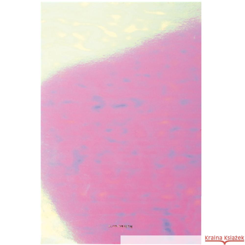 Notizblock irisierend FSC MIX  4051271409265 RICO-Design tap - książka