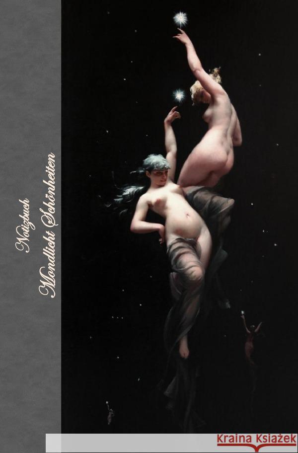 Notizbuch Mondlicht Schönheiten Potter, Elizabeth 9783818763206 epubli - książka