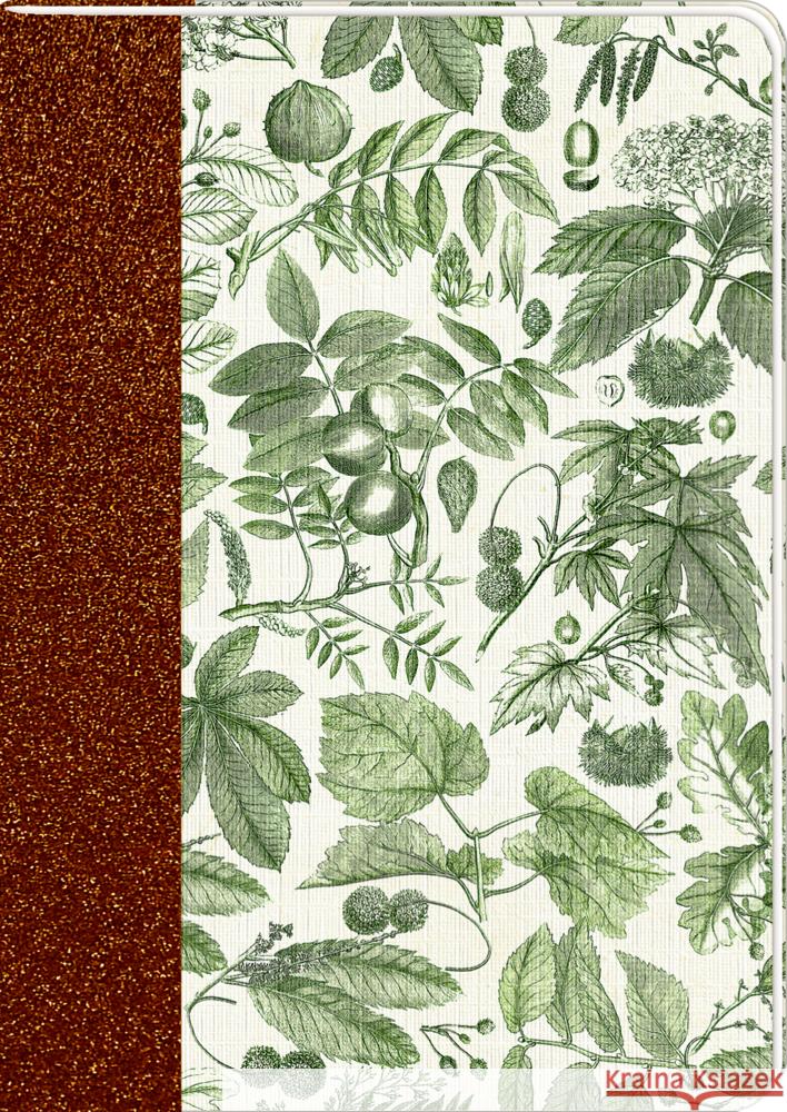 Notizhefte - Sammlung Augustina - DIN A5  4050003722849 Coppenrath, Münster - książka