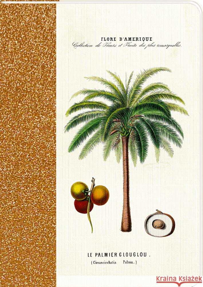 Notizhefte DIN A6  4050003725802 Coppenrath, Münster - książka