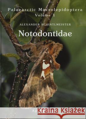 Notodontidae Alexander Schintlmeister 9788788757774 Apollo Books - książka