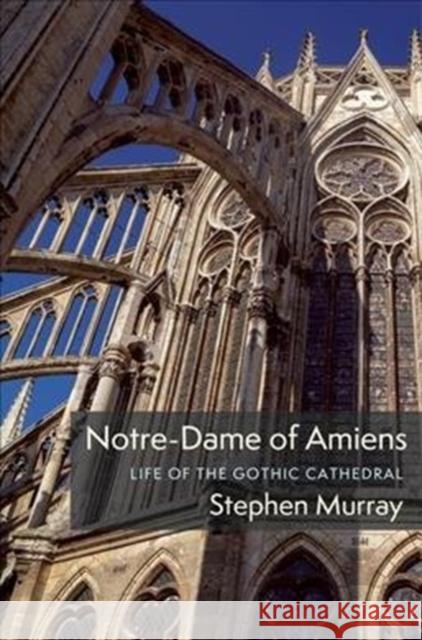 Notre-Dame of Amiens: Life of the Gothic Cathedral Stephen Murray 9780231195768 Columbia University Press - książka