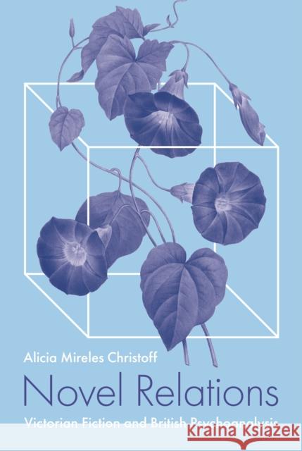 Novel Relations: Victorian Fiction and British Psychoanalysis Alicia Mireles Christoff 9780691193106 Princeton University Press - książka