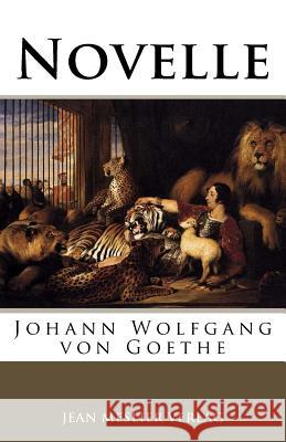 Novelle Johann Wolfgang Vo 9781973790167 Createspace Independent Publishing Platform - książka