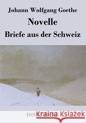 Novelle / Briefe aus der Schweiz Johann Wolfgang Goethe 9783843048323 Hofenberg - książka