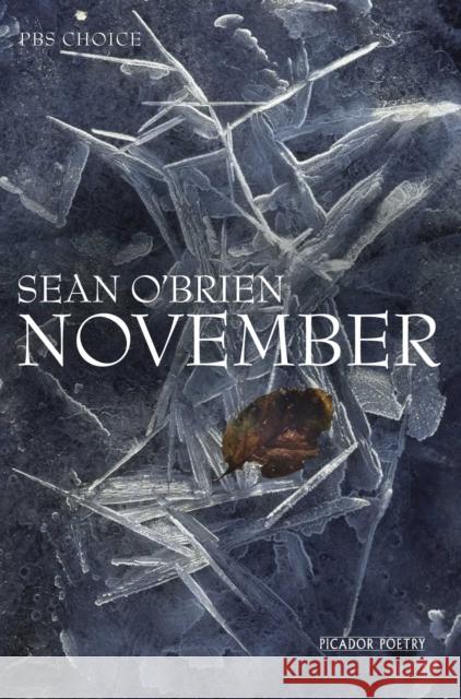 November Sean OBrien 9780330535007 Pan Macmillan - książka