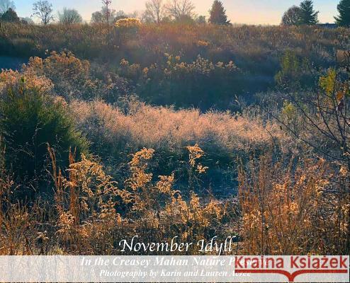 November Idyll: In the Creasey Mahan Nature Preserve Karin Acree Lauren Acree  9781937979508 Derek Publications - książka