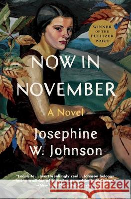 Now in November Josephine Johnson 9781668004227 Scribner Book Company - książka