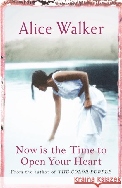 Now is the Time to Open Your Heart Alice Walker 9780753819579  - książka