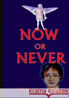 Now or Never Judi M. James 9781471606083 Lulu.com - książka